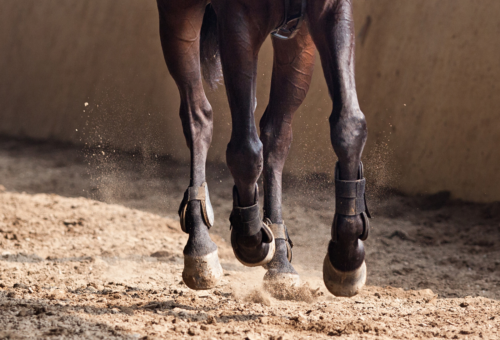 Horse riding